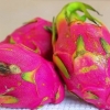 Comer fruta del dragón (pitaya)