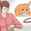 Ponerle un collar a un gato