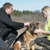 Usar un collar de púas para perros