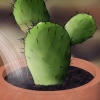 Salvar un cactus moribundo