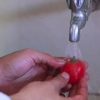 Descorazonar un tomate