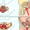 Haz ejercicios para los músculos del suelo pélvico