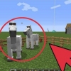 Cría de caballos en minecraft