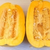 Secado de semillas de calabaza