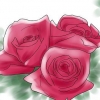 Rosas en crecimiento