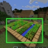 Recolectando zanahorias en minecraft