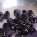 Hacer uvas congeladas