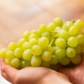 Mantener las uvas frescas