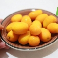 Comiendo un kumquat