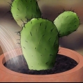 Salvar un cactus moribundo