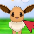 Eevee eevee en sylveon