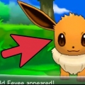 Eevee eevee en espeon o umbreon