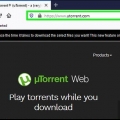 Descargar películas con utorrent