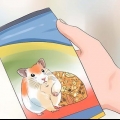 Alimentacion de hamsters