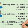 Determinando tu masa seca