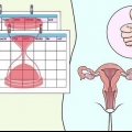 Preparando tu cuerpo para el embarazo después de un aborto espontáneo