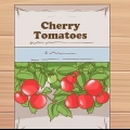 Cultivo de tomates cherry