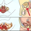 Haz ejercicios para los músculos del suelo pélvico