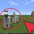 Cría de caballos en minecraft