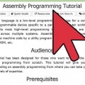 Programación en asamblea