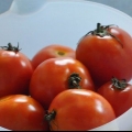 Tomates enlatados