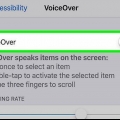 Desactiva voiceover en tu iphone