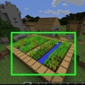 Recolectando zanahorias en minecraft