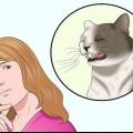 Asegúrate de que tu gato no se desplume solo