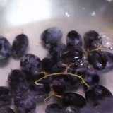 Hacer uvas congeladas