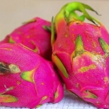 Comer fruta del dragón (pitaya)