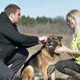 Usar un collar de púas para perros