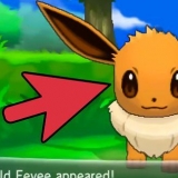 Eevee eevee en espeon o umbreon