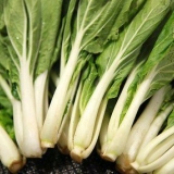 Rebanar pak choi