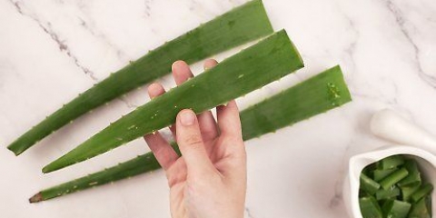 Comer aloe vera