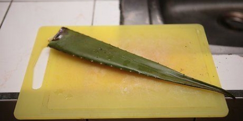 Hacer jugo de aloe vera