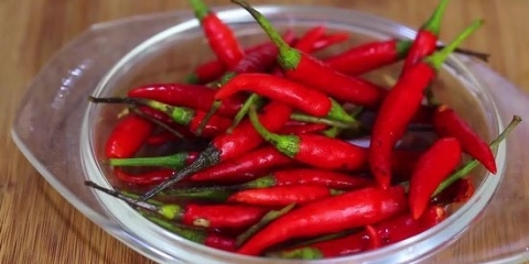 Secado de chiles