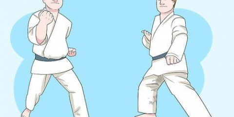 Entendiendo los fundamentos del karate