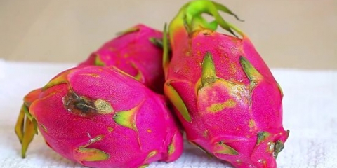 Comer fruta del dragón (pitaya)