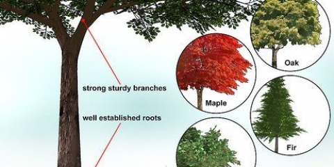 Construyendo una casa en el árbol