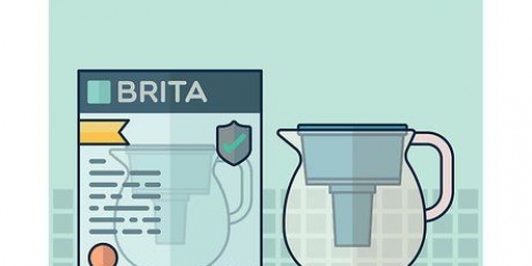 Usar una jarra de agua brita