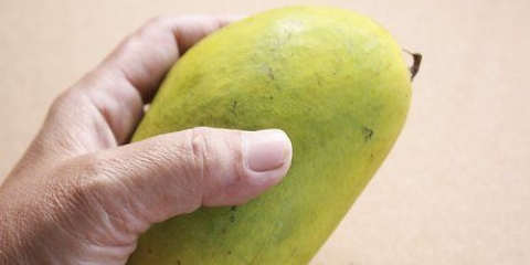 Elegir un buen mango