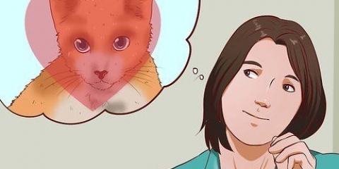 Tener un gato como mascota