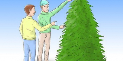 Cuidar un árbol de navidad