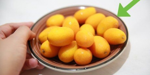 Comiendo un kumquat