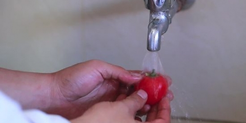 Descorazonar un tomate