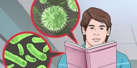 Conoce la diferencia entre una bacteria y un virus