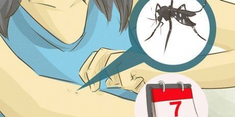 Cuidar a una persona con dengue