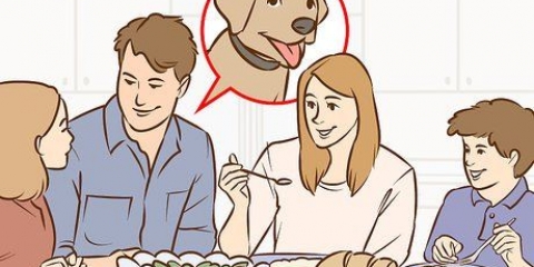 Convencer a tus padres de tener un perro