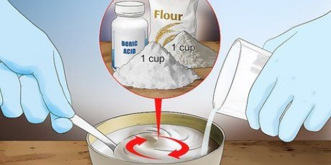 Matar cucarachas y hormigas sin usar pesticidas