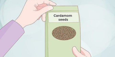 Cultivar cardamomo